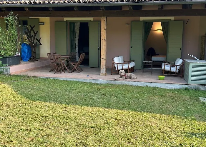 公寓 Lagotto House-apartment In The Langhe 诺韦洛